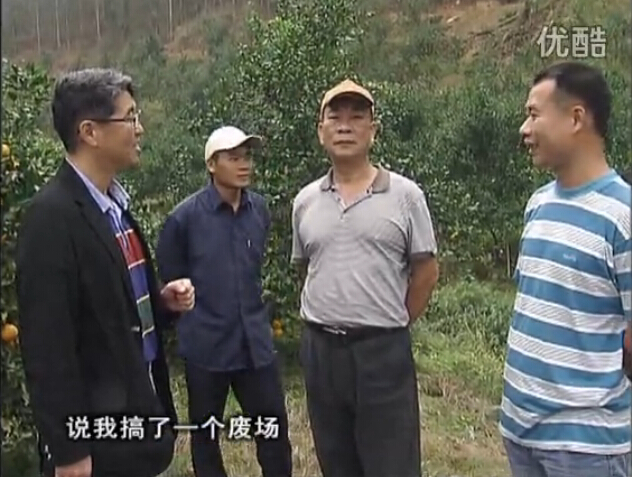 20160118珠江臺搖錢樹：貢柑用微補全年營養方案，黃樹翻身還高產增果