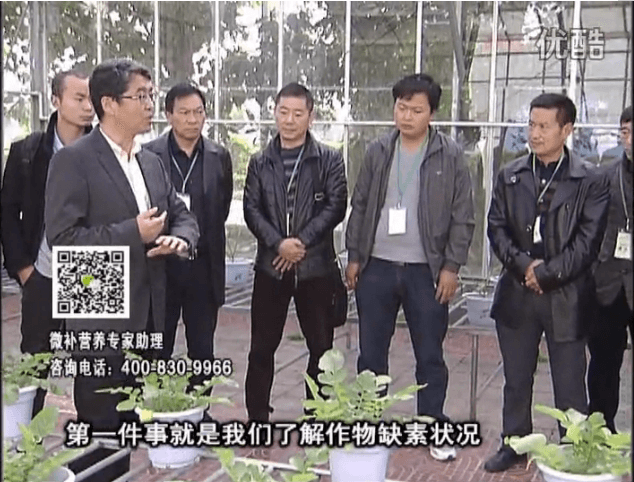 20160418珠江臺搖錢樹：和重慶種植業主走進微補，探秘微補生產研發技術