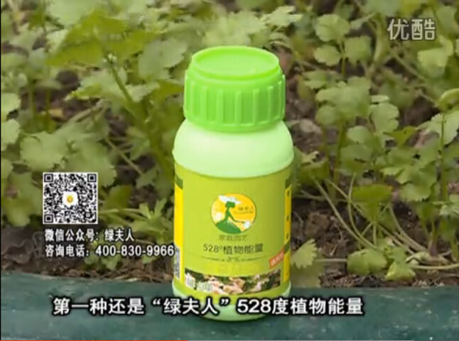 20160502珠江臺搖錢樹：家庭小院種蔬菜，用綠夫人營養液長勢好